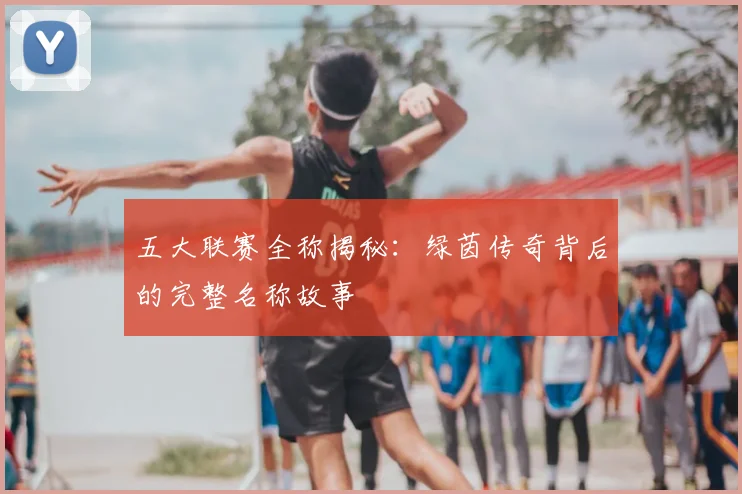 五大联赛全称揭秘：绿茵传奇背后的完整名称故事