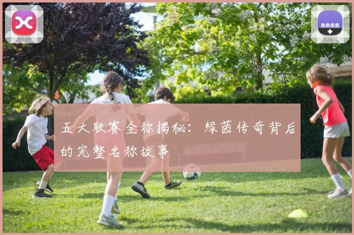五大联赛全称揭秘：绿茵传奇背后的完整名称故事
