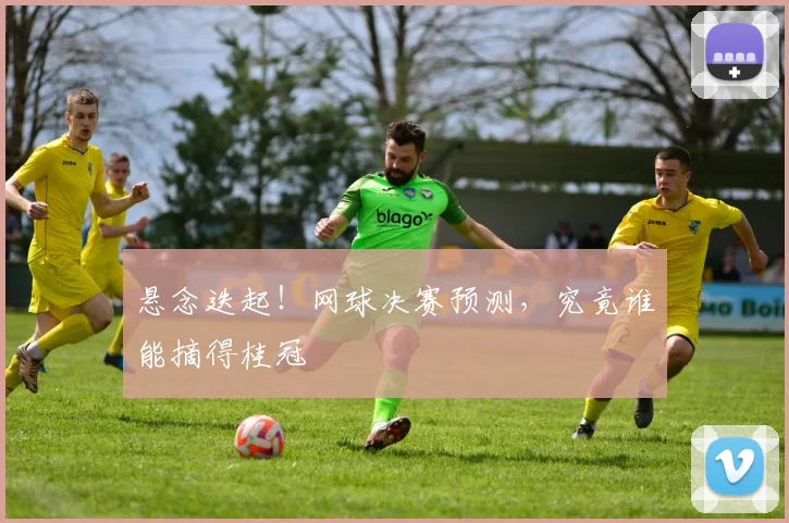 悬念迭起！网球决赛预测，究竟谁能摘得桂冠