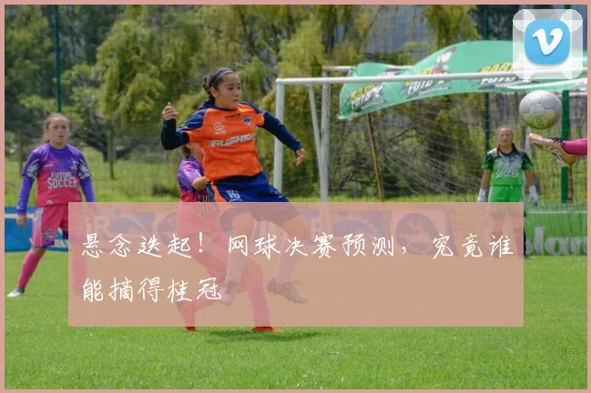 悬念迭起!网球决赛预测,究竟谁能摘得桂冠