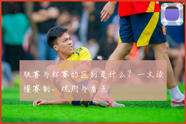 联赛与杯赛的区别是什么？一文读懂赛制、规则与看点